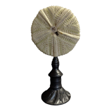 Cabinet of Curiosities sea urchin astropyga radiata on base