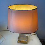 The Dolphin Horse Head Lamp