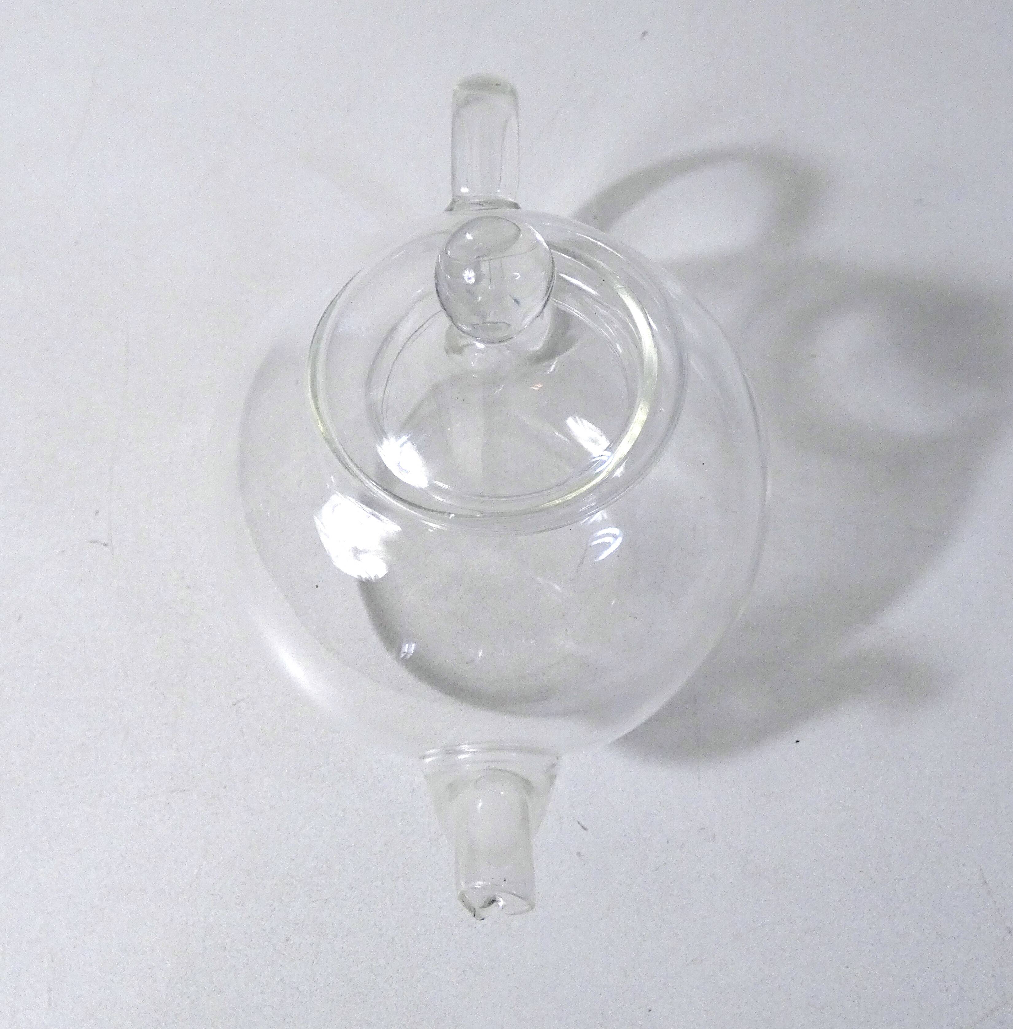 Minimalist design glass teapot