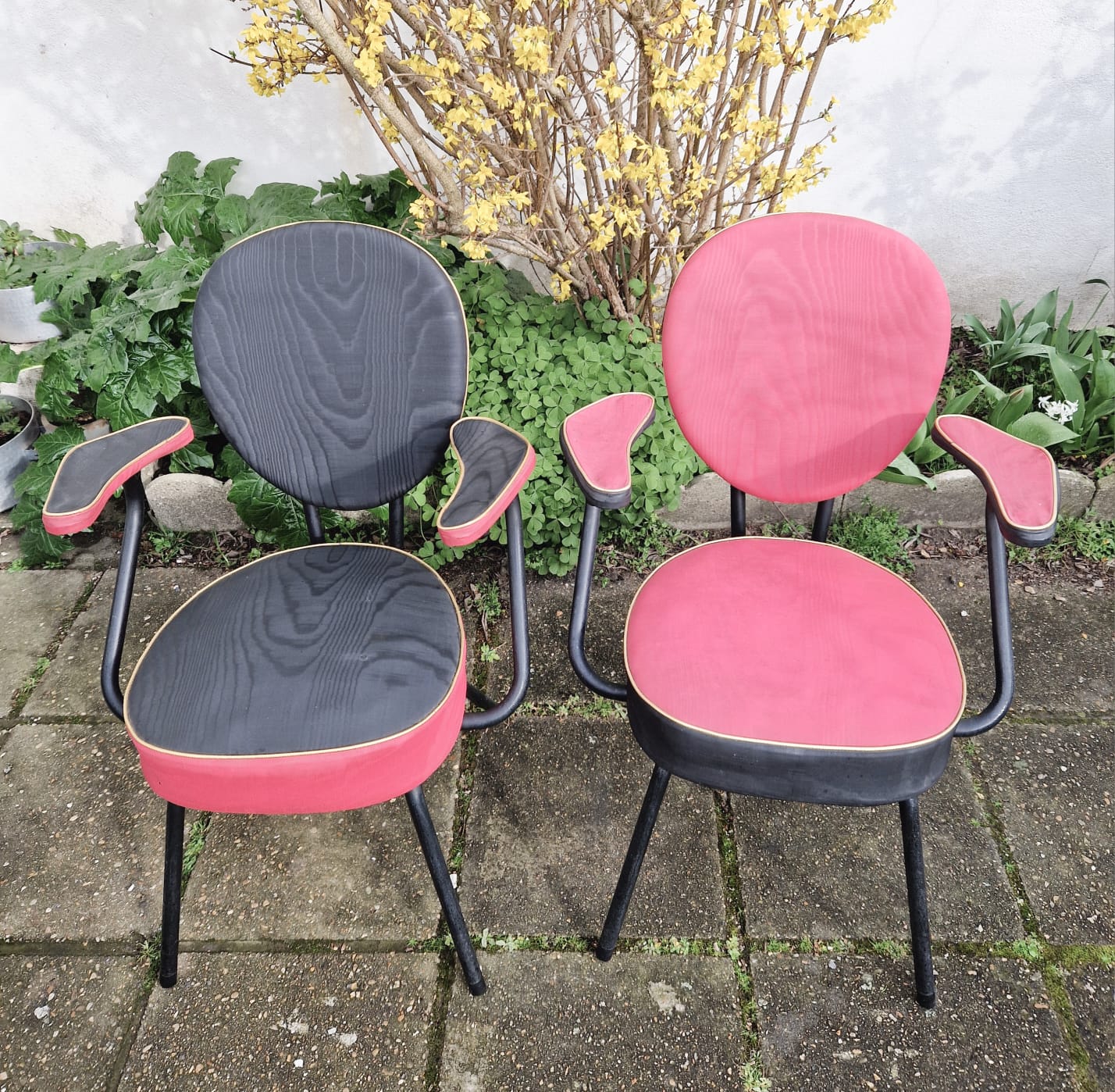 Pair of armchairs 1950
