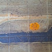 Table basse vintage ,année 1960. Jean D'Asti.