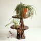 Wooden tree trunk organic carved plant stand side table, 1950s.