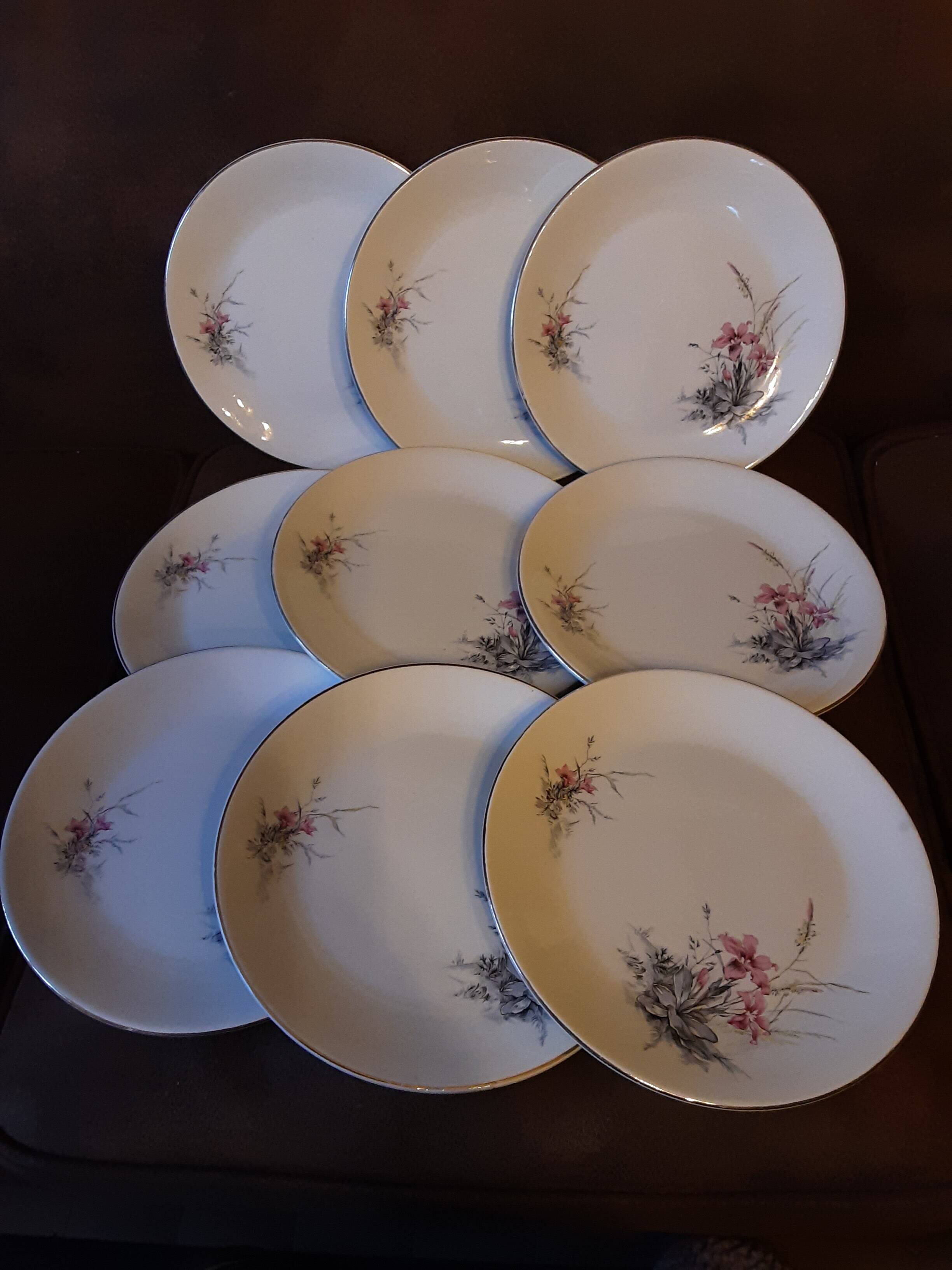 Set of 9 Digoin Sarreguemines dinner plates