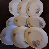Set of 9 Digoin Sarreguemines dinner plates