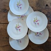 Dessert service Zeh Scherzer 1950s