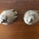 Salt and pepper shaker in silver metal, sparrows