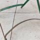 Paire de chaises de bistrot jardin pliable ancienne