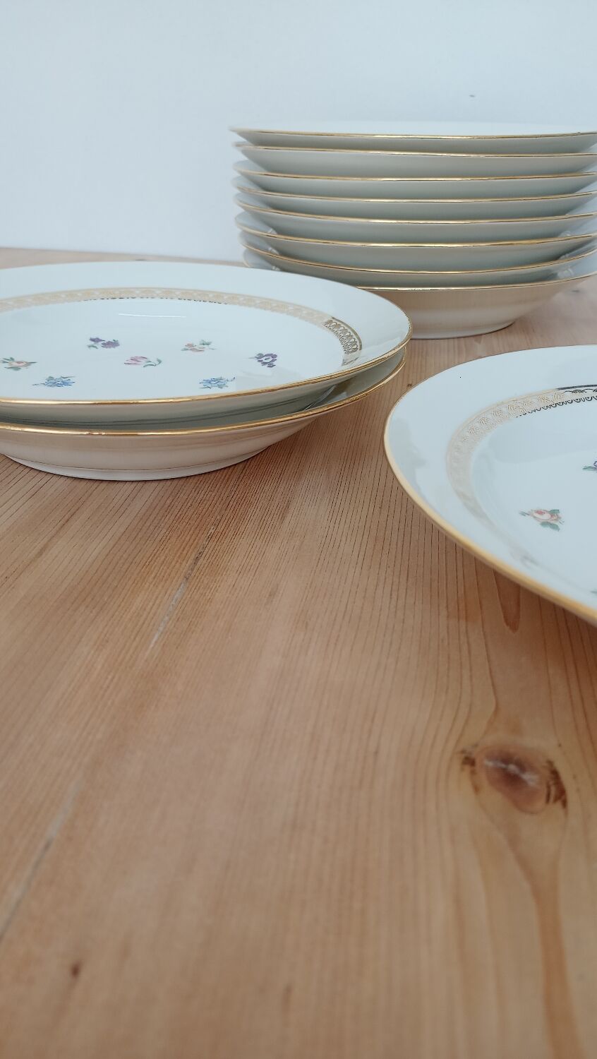 Hollow porcelain plates