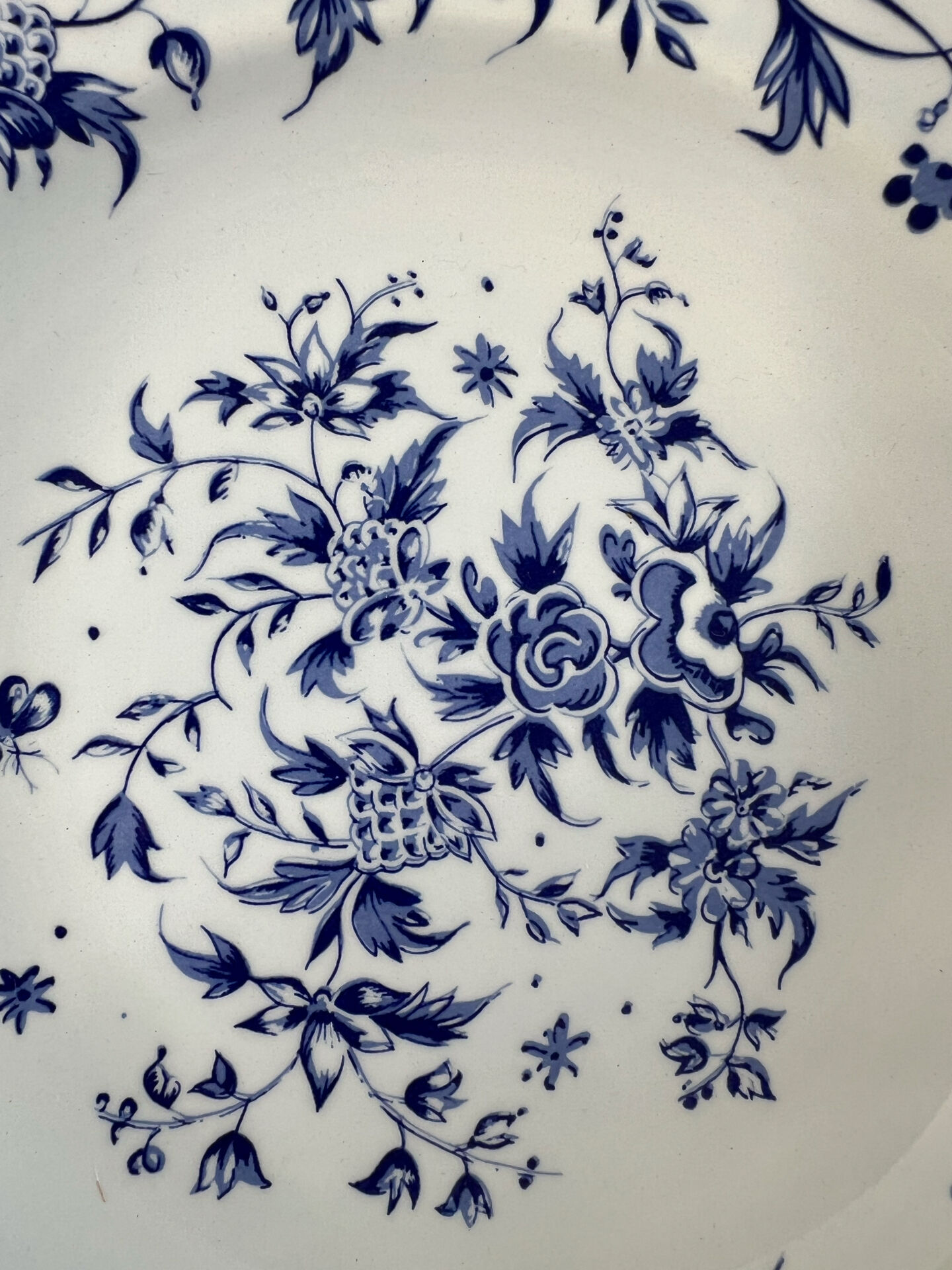 Set of 6 deep plates Salins Royal France with blue floral decoration.