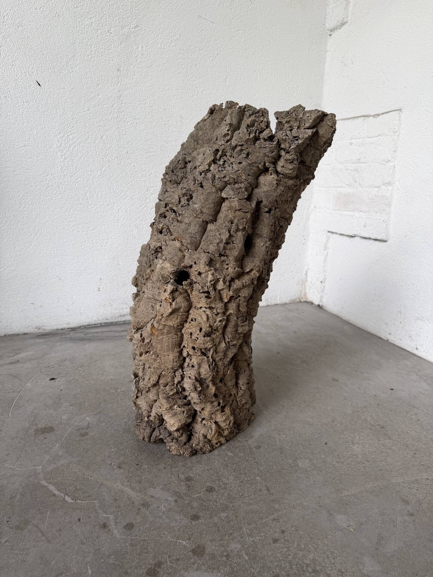 XL cork bark vase