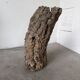 XL cork bark vase