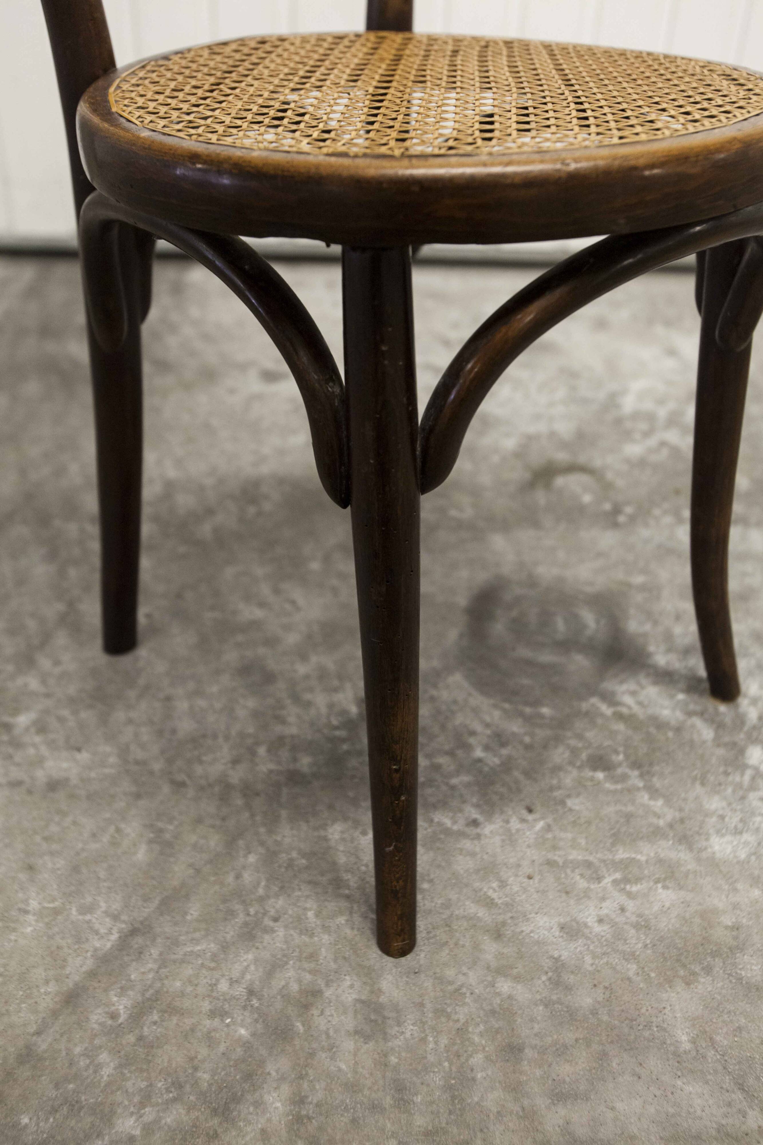 Ungvar Ungarn 1900 dark brown cane bistro chair