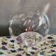 3 Art Deco Champagne Coupes in Engraved Crystal with Daisies
