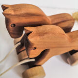Horse to train
