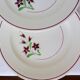 4 flat plates from Salins 210656