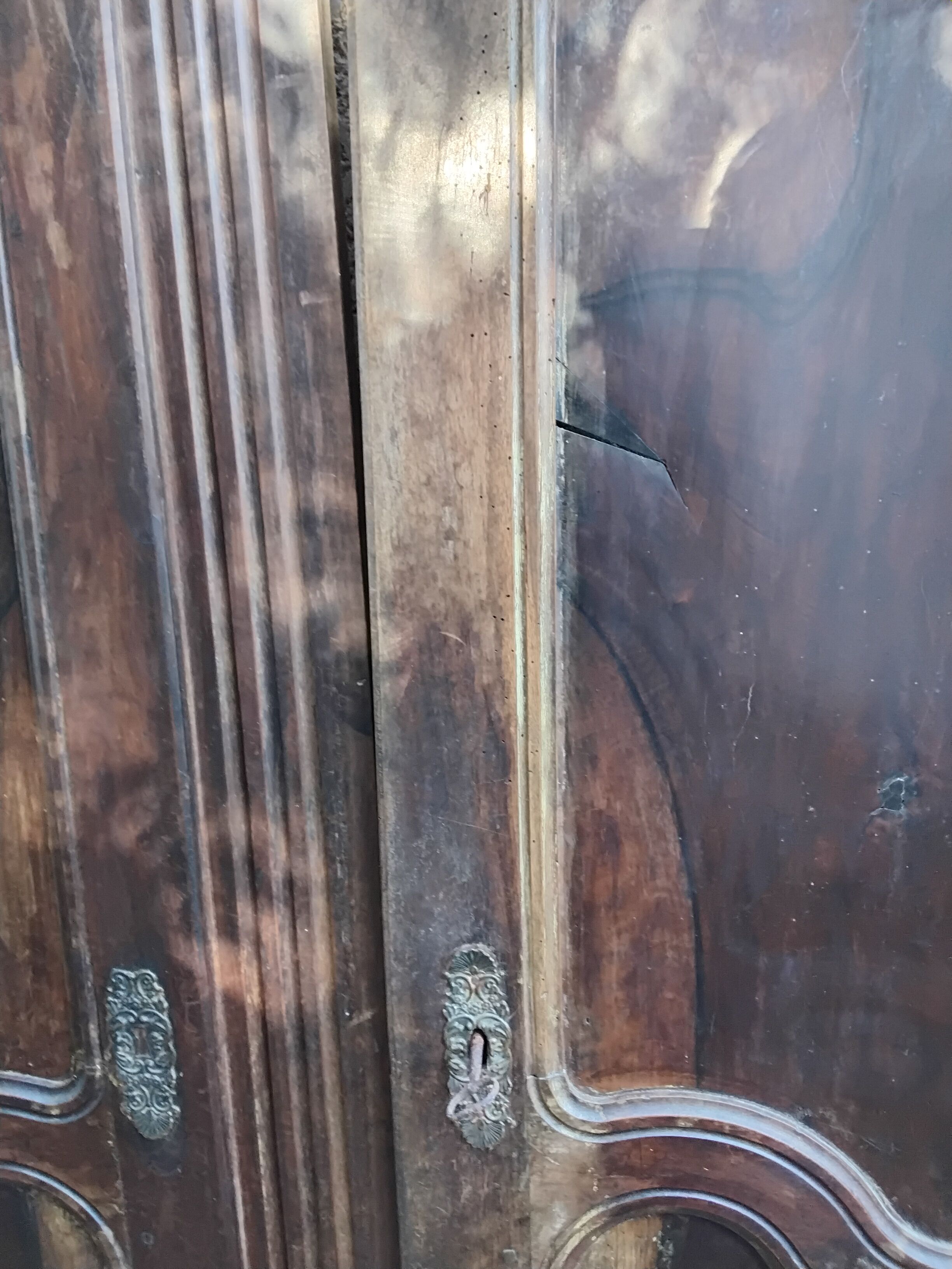 Pair of antique doors in 18th-century Louis XV style.