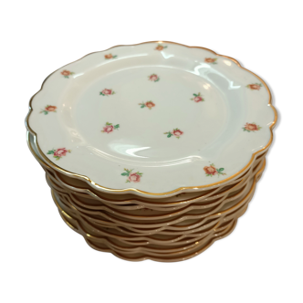 Dessert plates
