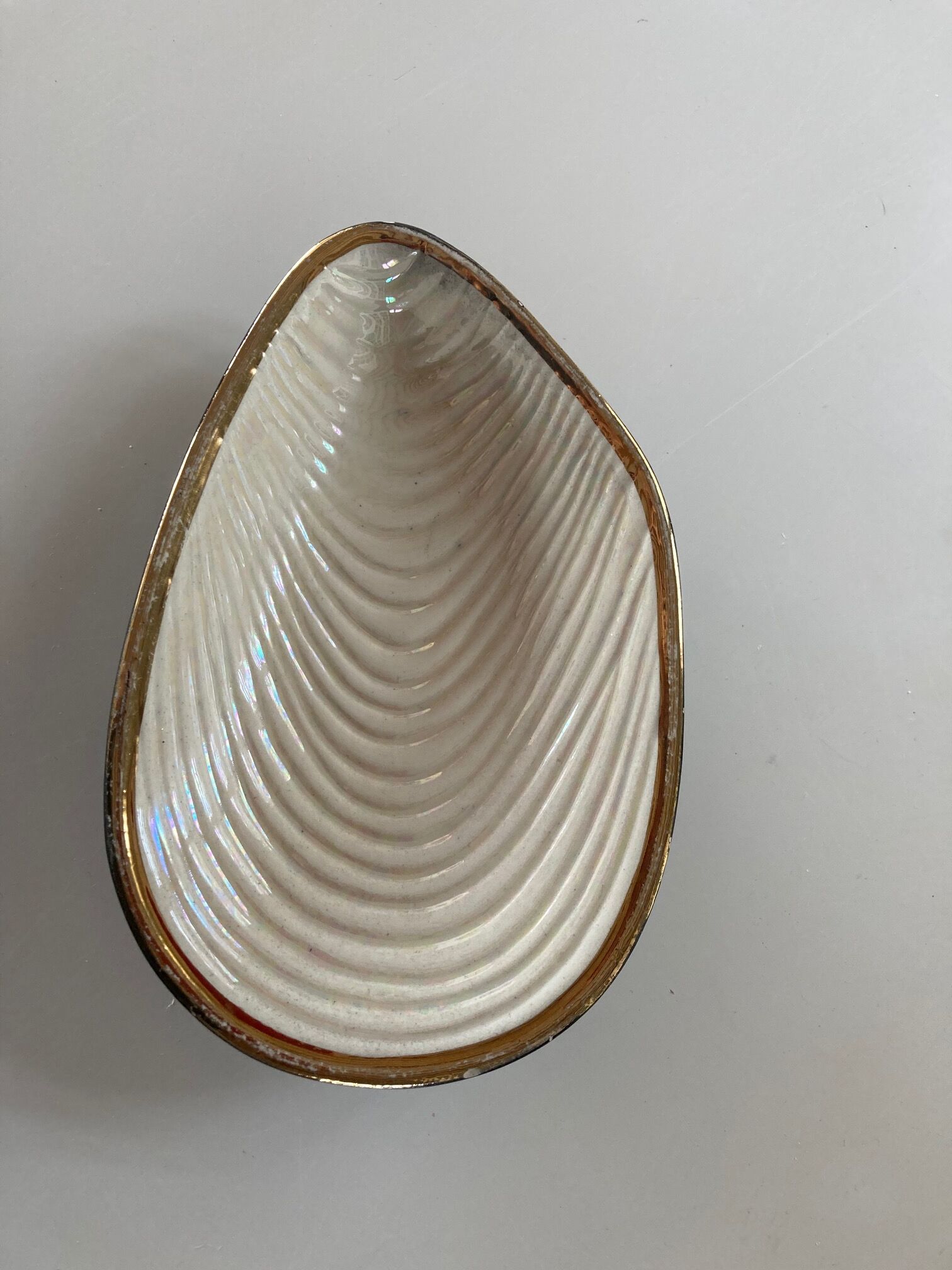 Shell-shaped cup