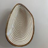 Shell-shaped cup