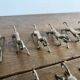 Set of 12 vintage horse galloping knife rests – Silver-plated metal