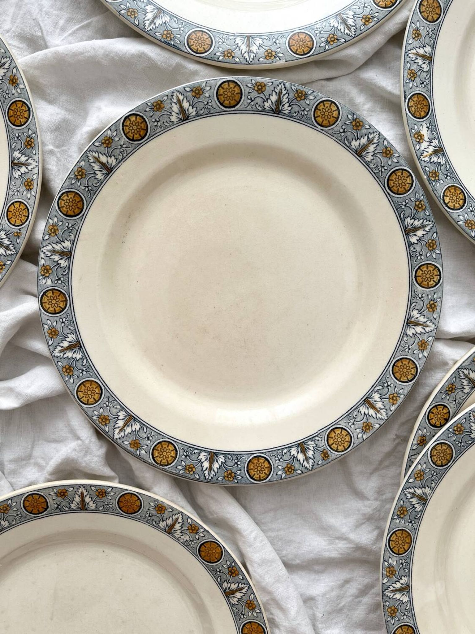 10 assiettes plates en terre de fer « Lamartine » Salins