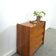 Fineer schoenenkast met lades