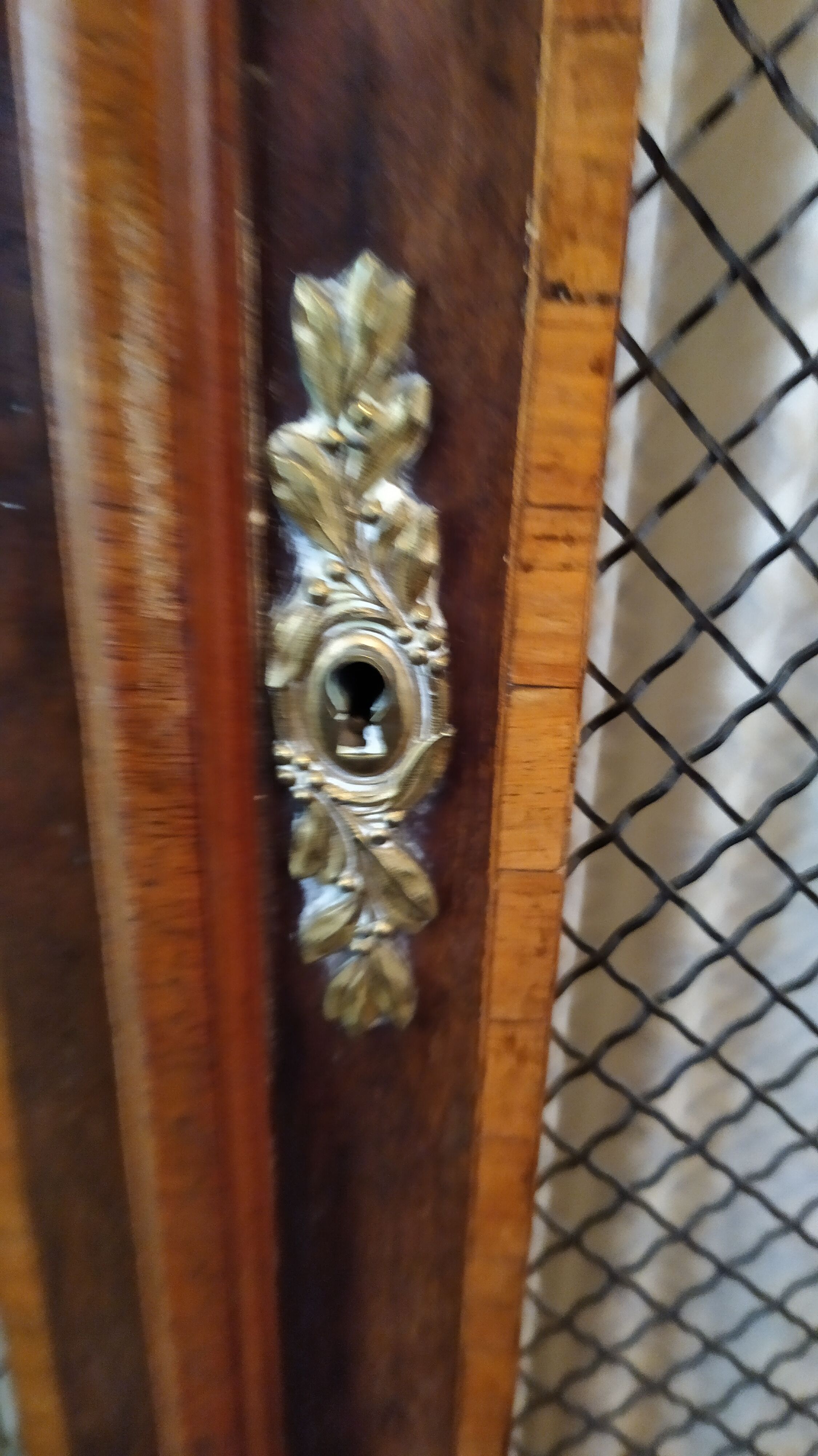 Library louis 15, old, door with fence