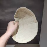 Large white coral