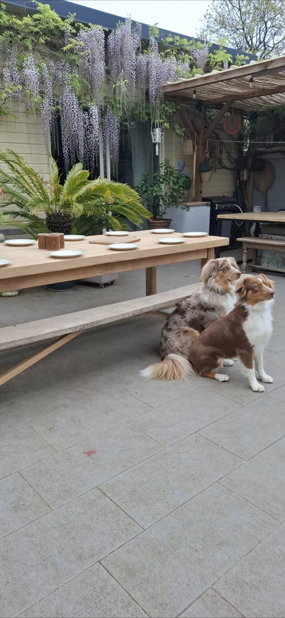 No37 renovated farmhouse table