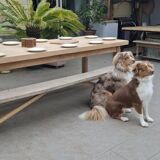 No37 renovated farmhouse table