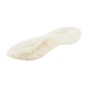 White sponge coral
