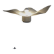 Aera 10