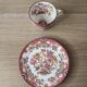 Sarreguemines Minton 216 cup and saucer