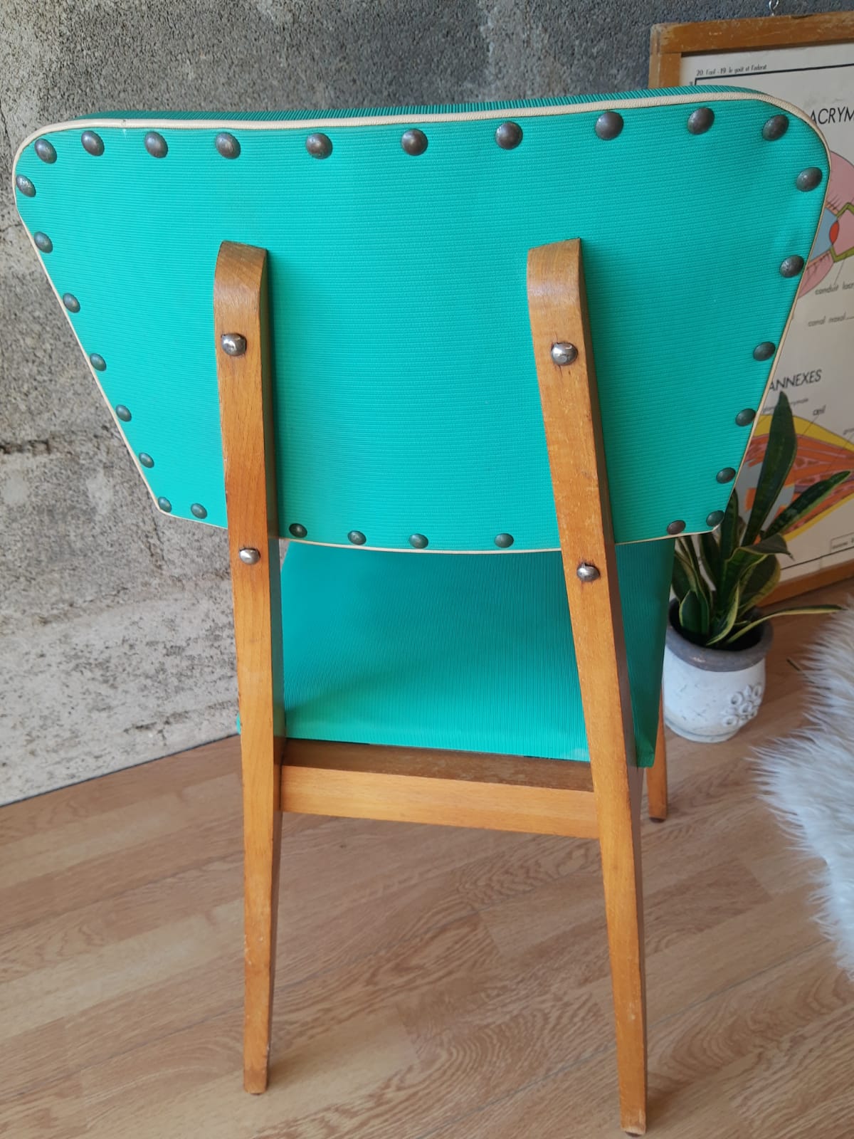 Beech chair compass feet 50s- 60s vinyl - vintage