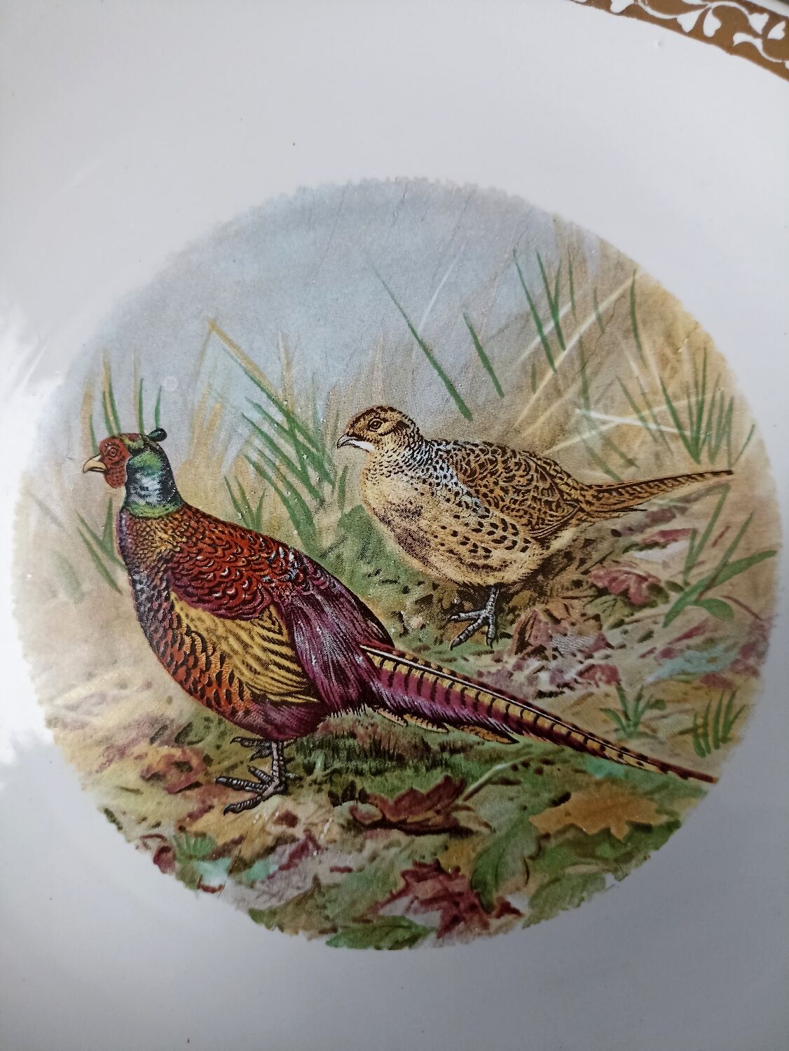 Longchamp game plates