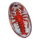 Vallauris earthenware plate signed by Kurt and Monique Brunner - lobster