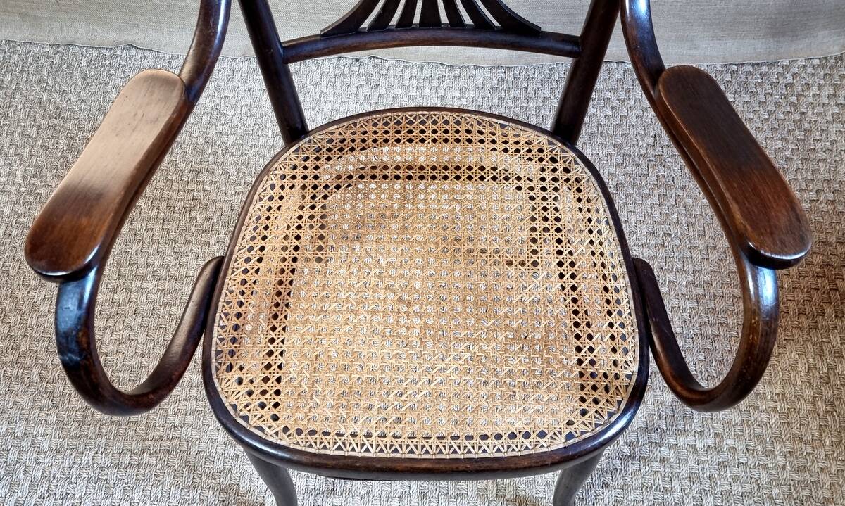 Fischel Jugendstil bistro armchair in curved wood, Thonet period