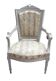 Napoleon III Victorian Armchair Velvet Fabric 19th Century