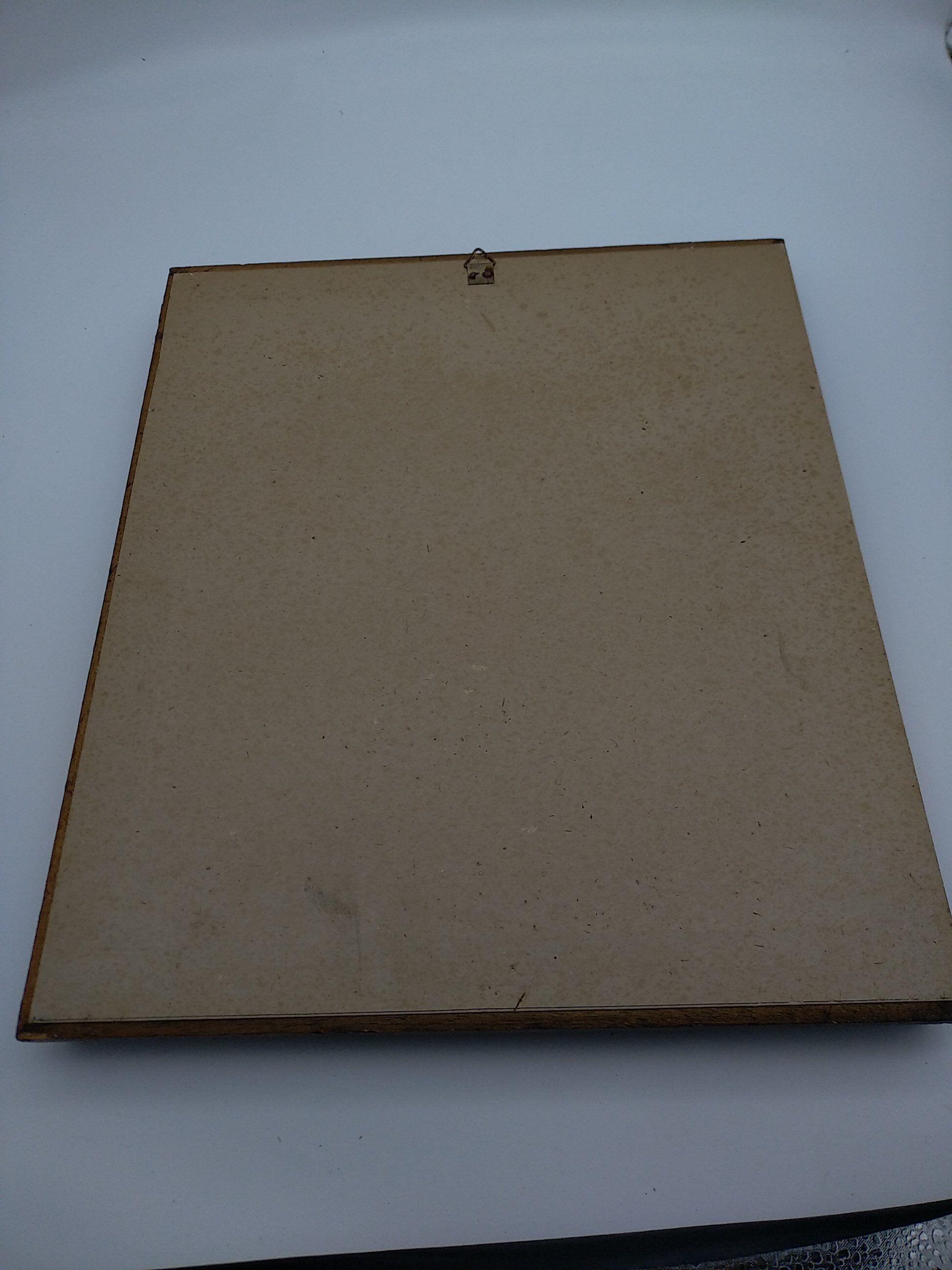 2 planches encadrés, la caille et le jabiru, buffon