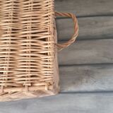 Wicker trunk