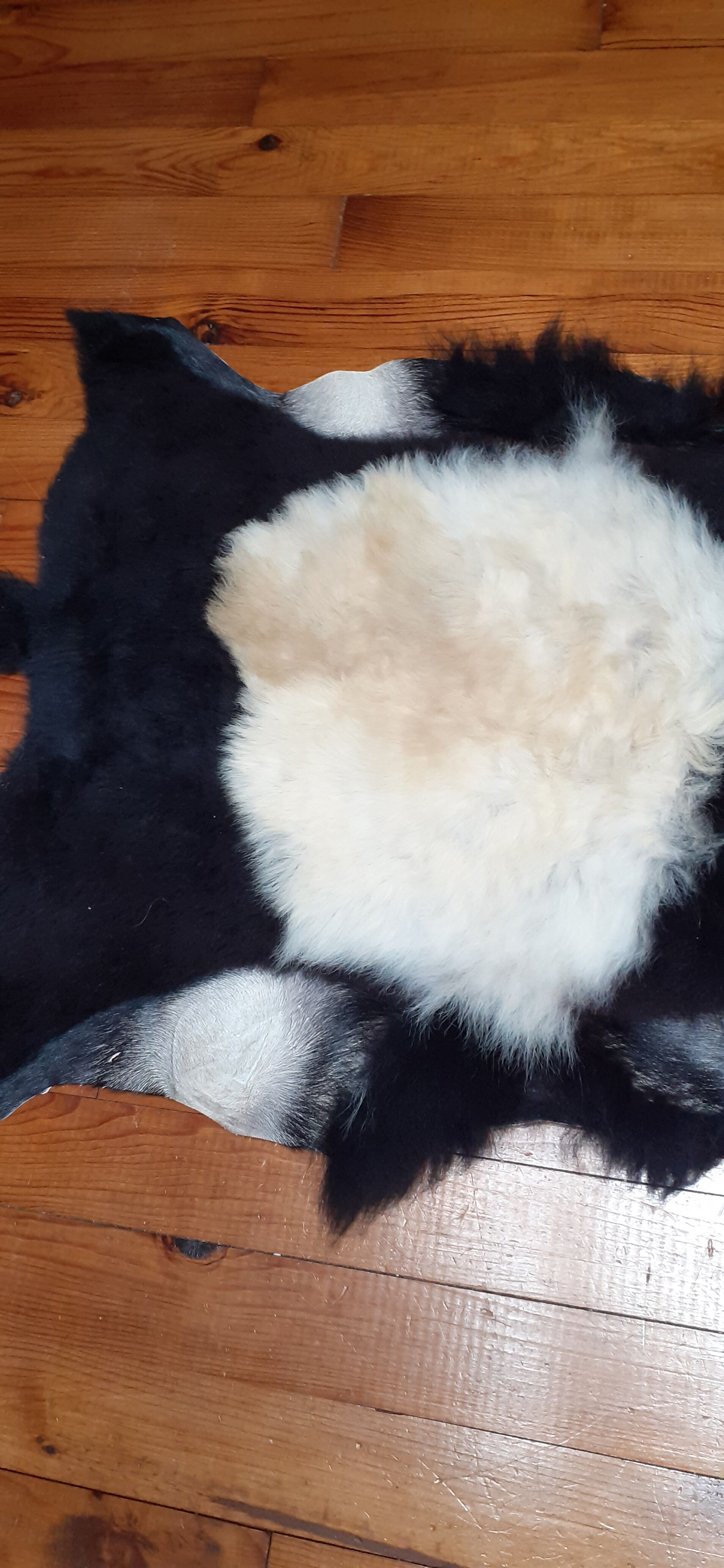 New sheepskin