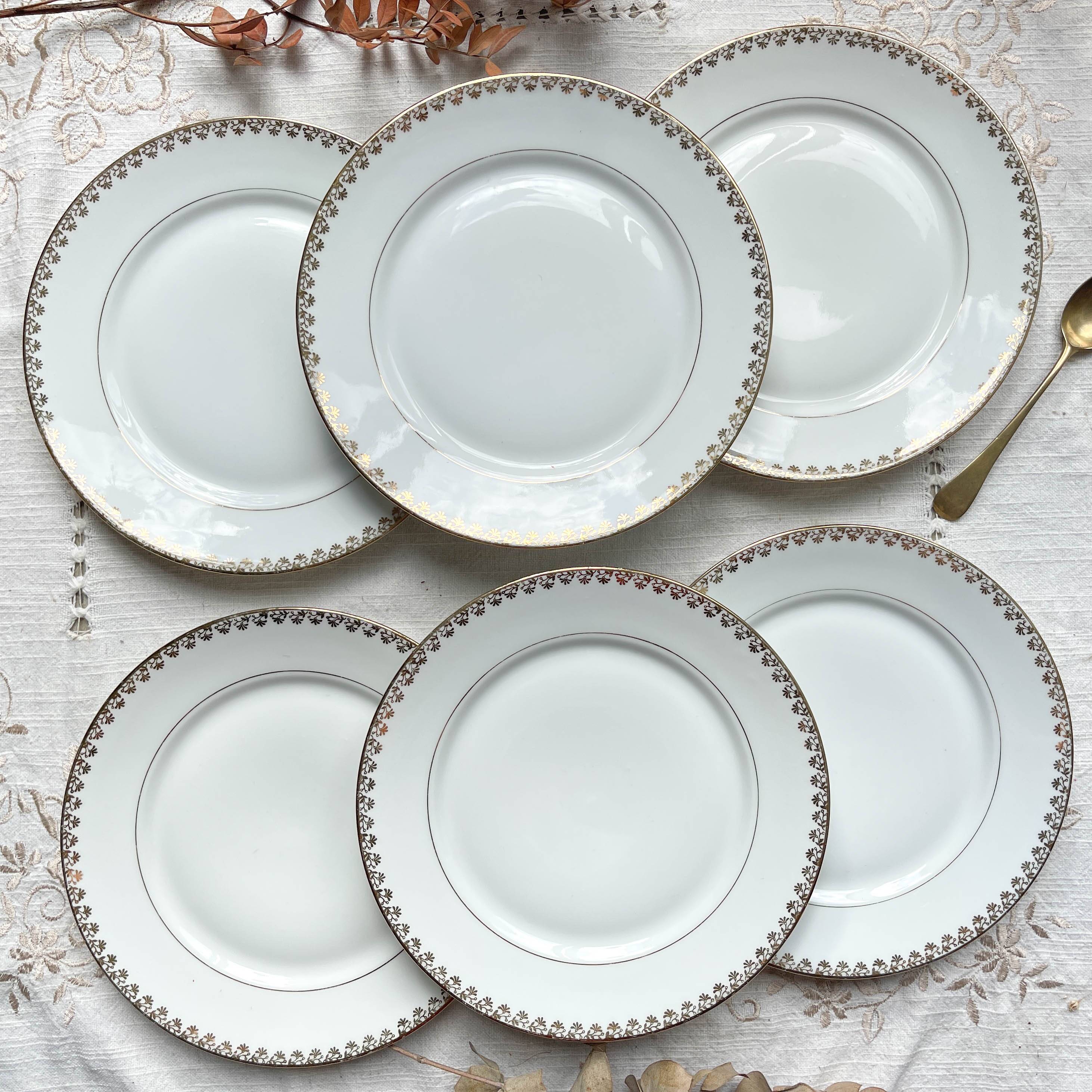 12 Vintage Terre de Fer White Plates + Small Gold White Porcelain Plates LIMOGES
