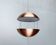 Flower Lamp RS 37 from the Mid-Century Space Age by Poul Cadovius for Cado, 1960s