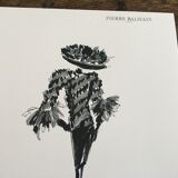 Illustration and press fashion photography "Pierre Balmain"