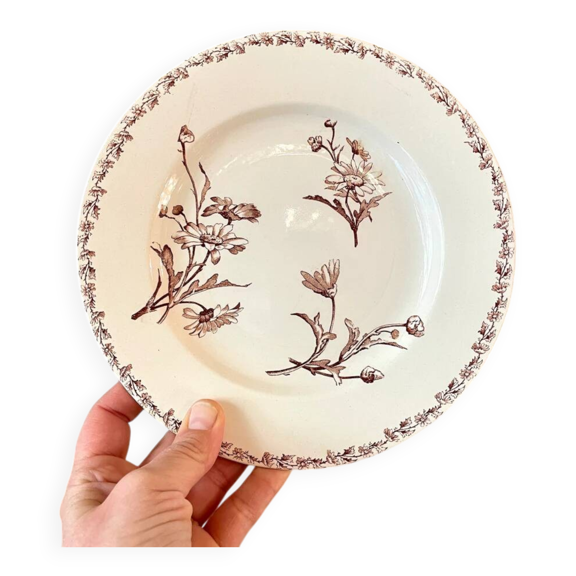 Lunéville earthenware dessert plate, Marguerite model.