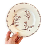 Lunéville earthenware dessert plate, Marguerite model.
