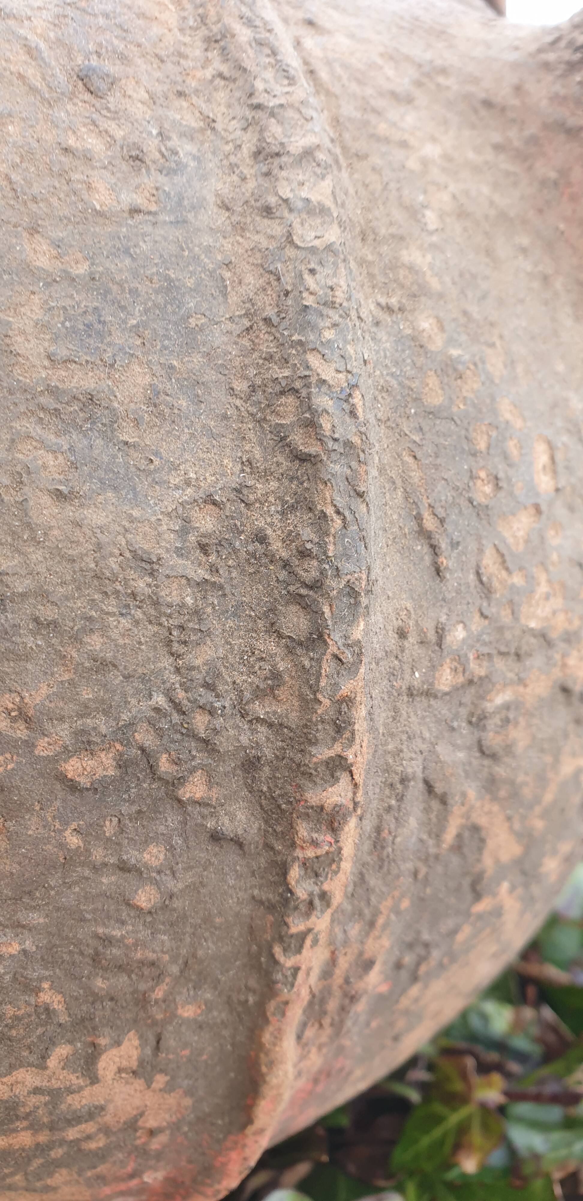 Quercy Jug for Walnut Oil - 18th Century