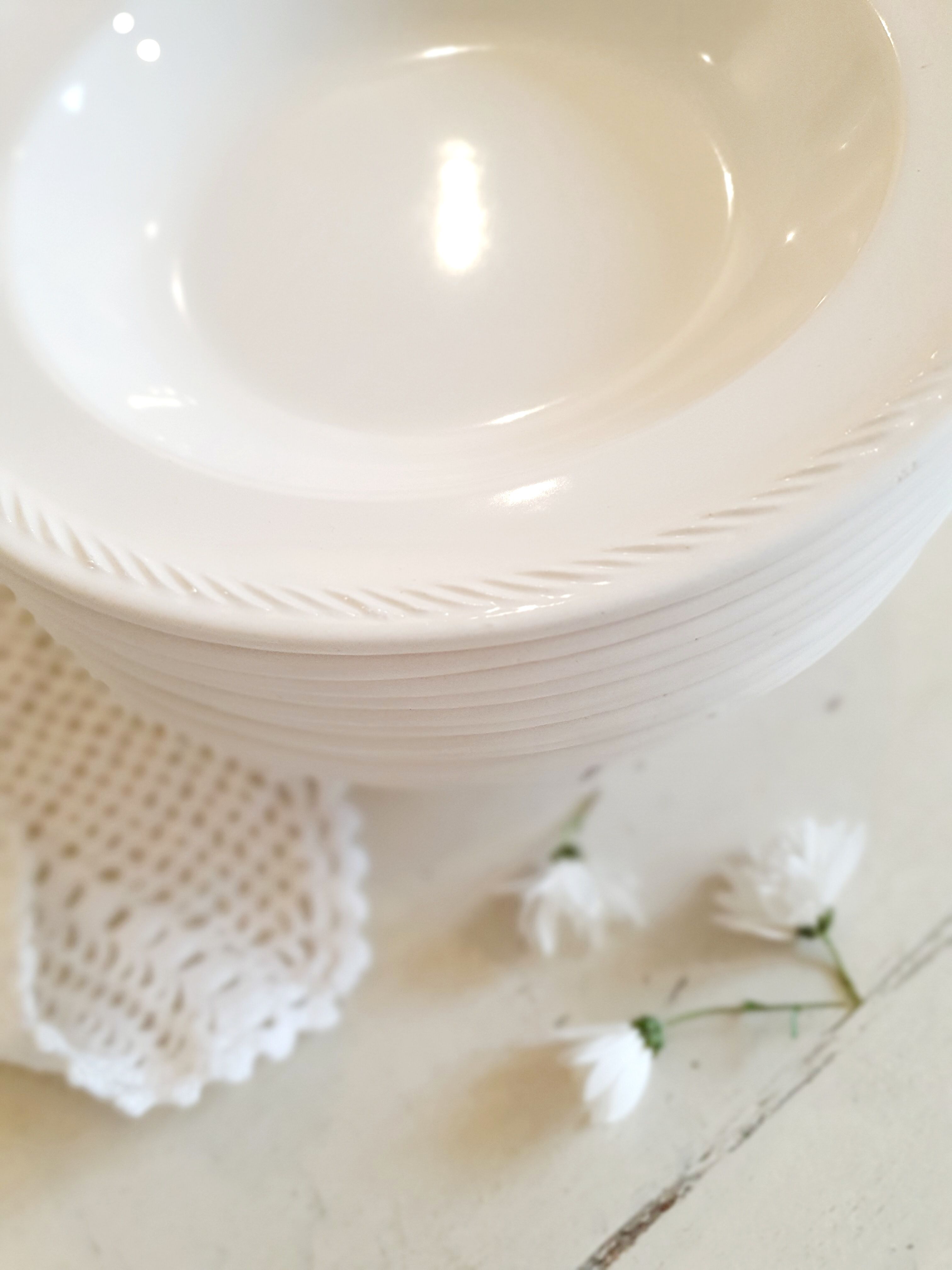 10 plates in Haute-Provence earthenware