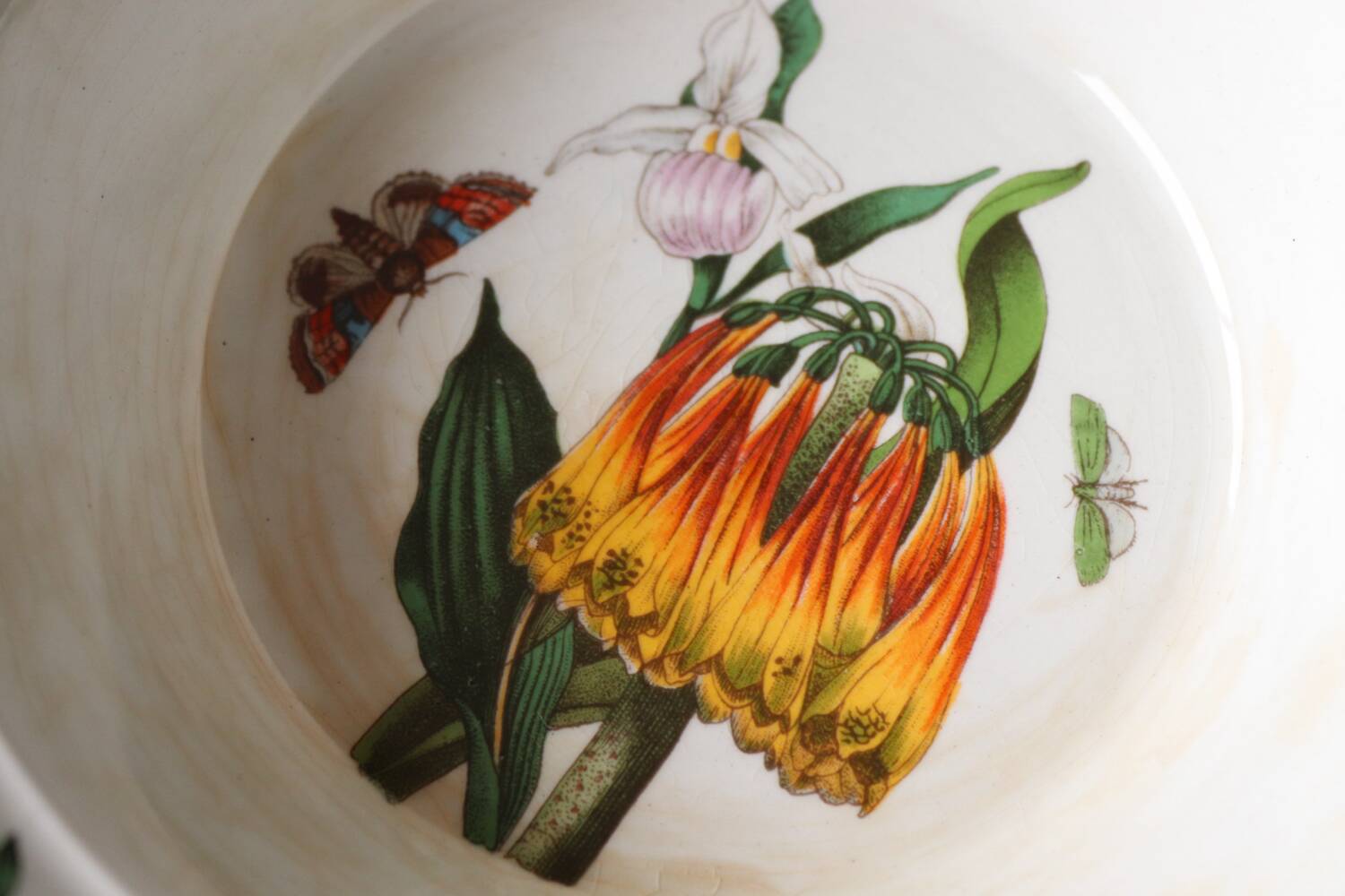 2 Vintage Bowls Botanical Garden – Portmeirion