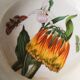 2 Vintage Bowls Botanical Garden – Portmeirion